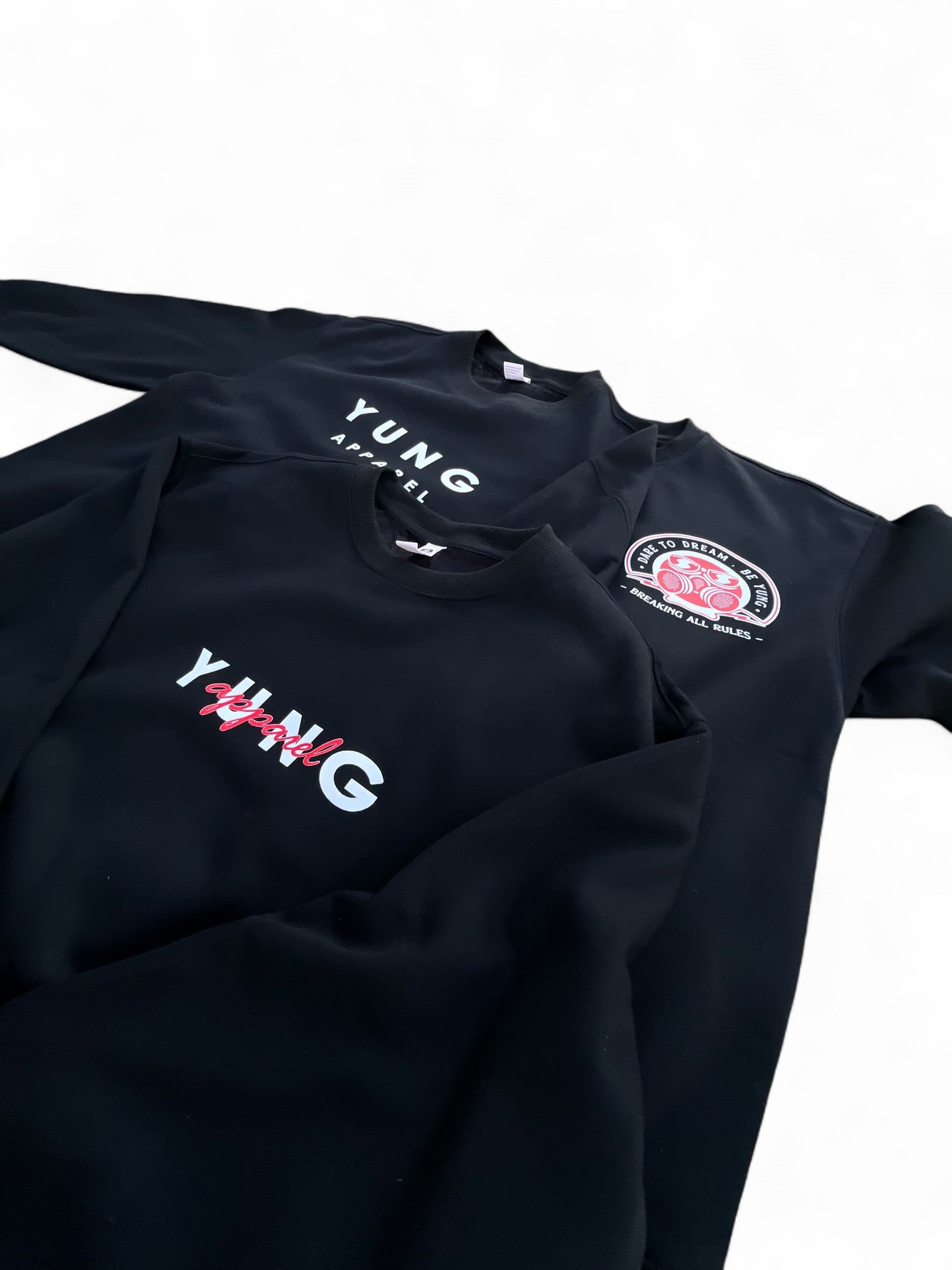 BREAKING ALL RULES CREW NECK SWEATER
