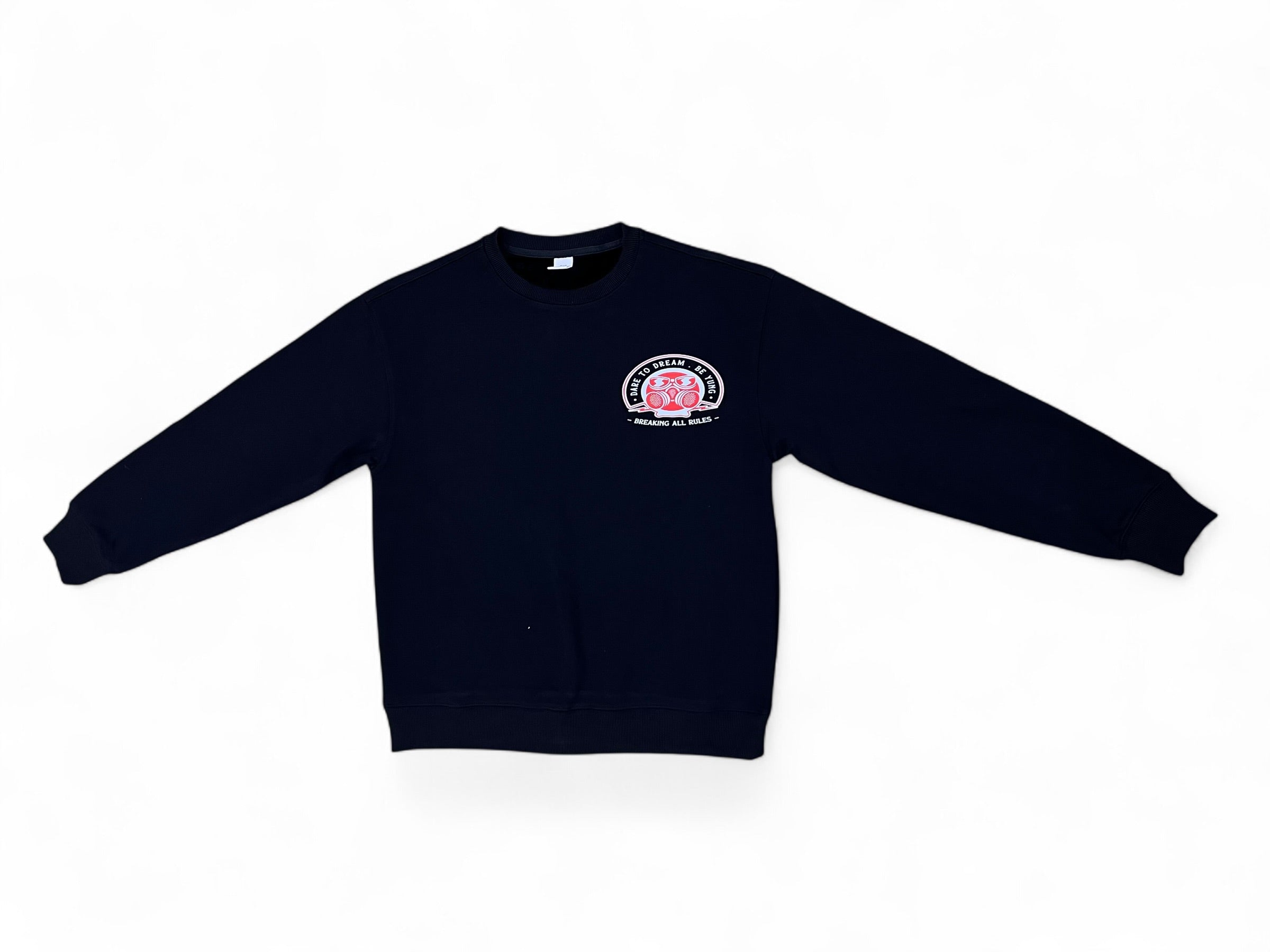 BREAKING ALL RULES CREW NECK SWEATER