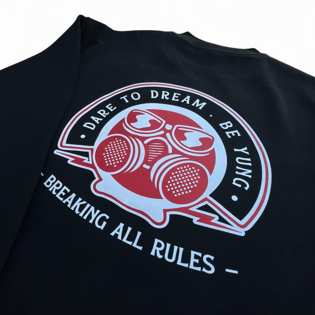 BREAKING ALL RULES CREW NECK SWEATER