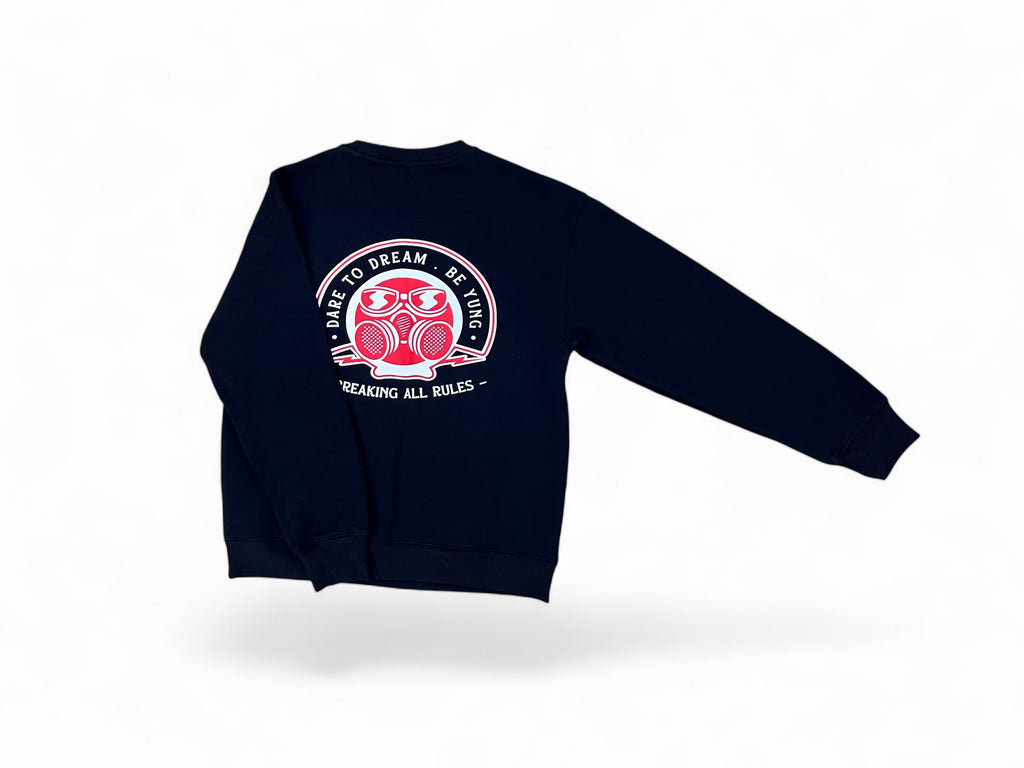 BREAKING ALL RULES CREW NECK SWEATER