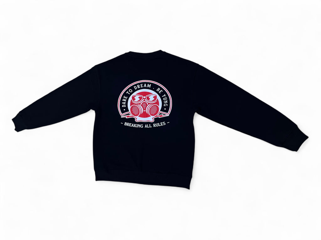 BREAKING ALL RULES CREW NECK SWEATER